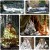 a856d7ec1f430a9db033d91be347efa9.jpg