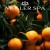 203984e74cdfbb66c67daab329ad