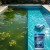 4a317f2ca3fa89baab1ceb79abdd9ed2